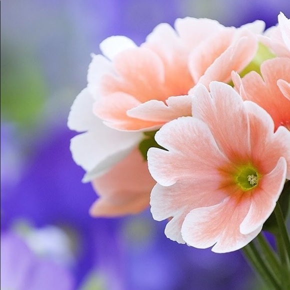 Meet your Posher, Lyuda - Picture 1 of 1